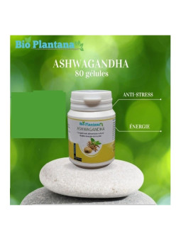 Bio Plantana Ashwagandha 80 Gélules