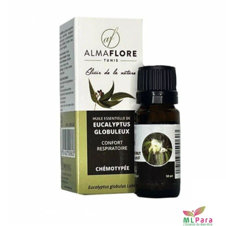 ALMAFLORE HUILE ESSENTIELLE D'EUCALYPTUS GLOBULEUX 10 ML