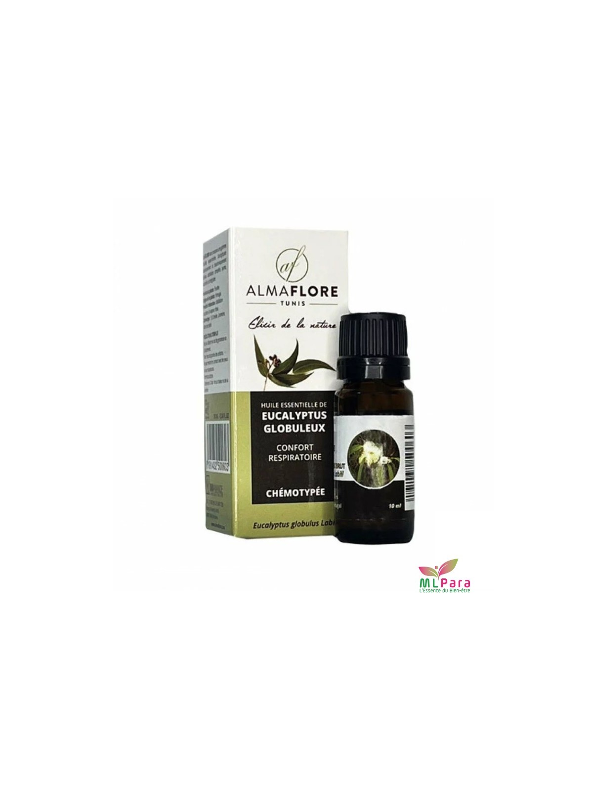 ALMAFLORE HUILE ESSENTIELLE D'EUCALYPTUS GLOBULEUX 10 ML