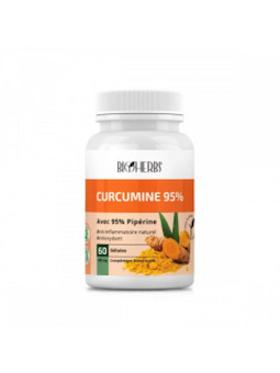 BIOHERBS Curcumine 95 B60