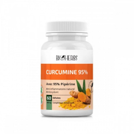 BIOHERBS Curcumine 95 B60