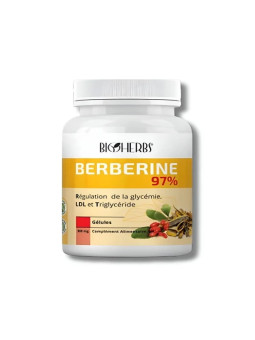 BIOHERBS - BERBERINE 98%  60GELULES
