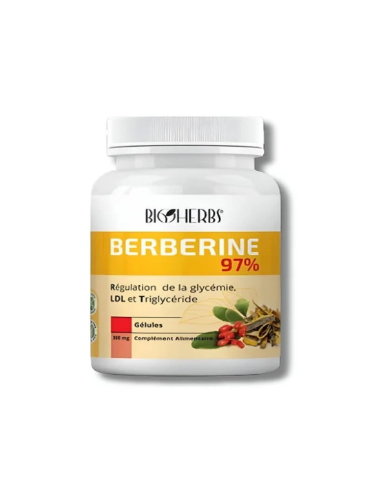 BIOHERBS - BERBERINE 98%  60GELULES
