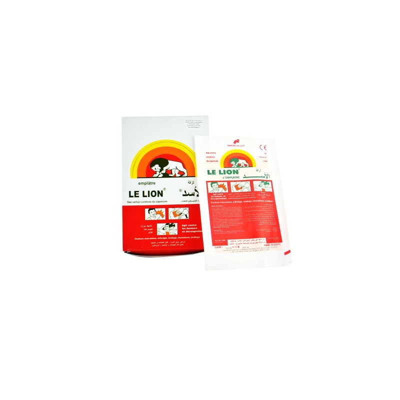 lion emplatre PM