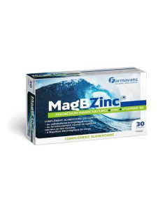 MAGBZINC BT/30 GELLULES FARMAVANS