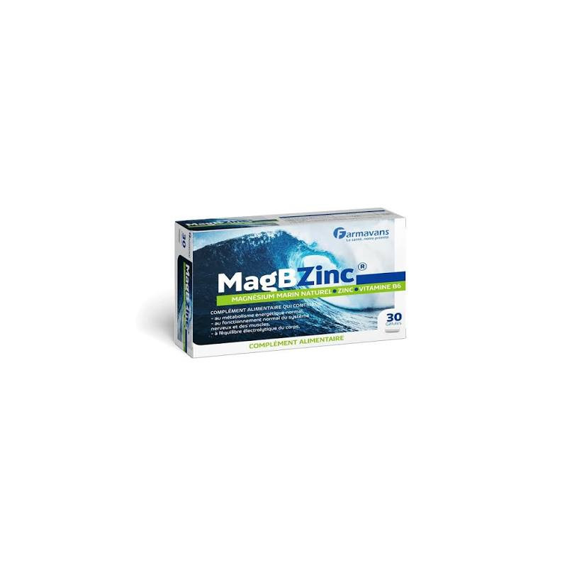 MAGBZINC BT/30 GELLULES FARMAVANS