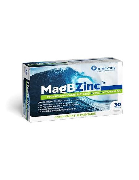 MAGBZINC BT/30 GELLULES FARMAVANS