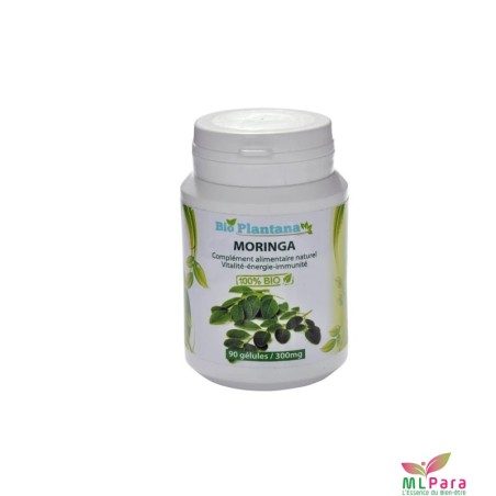 BIO PLANTANA MORINGA BT/90