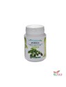BIO PLANTANA MORINGA BT/90